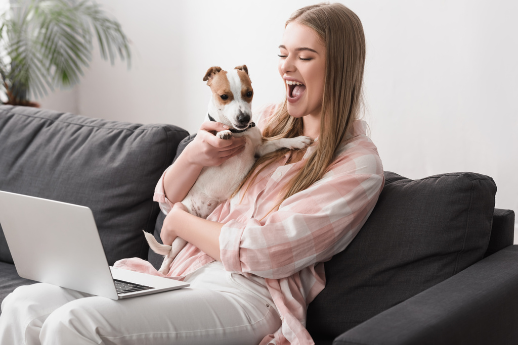 Dizüstü bilgisayarla koltukta otururken Jack Russell Terrier 'ı kollarında tutan heyecanlı kadın. - Fotoğraf, Görsel