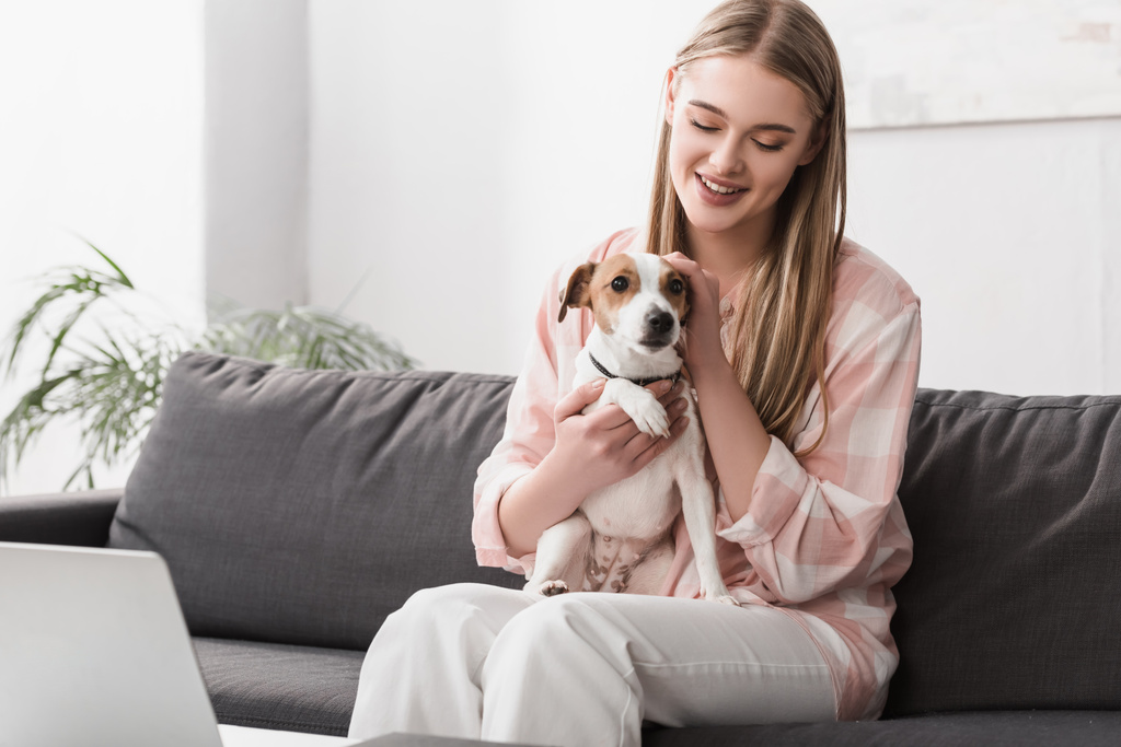 sonriente mujer sosteniendo en brazos jack russell terrier mientras está sentado en sofá con portátil - Foto, Imagen
