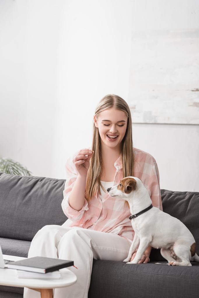 fröhliche Frau füttert Jack Russell Terrier mit Tiernahrung im Wohnzimmer - Foto, Bild
