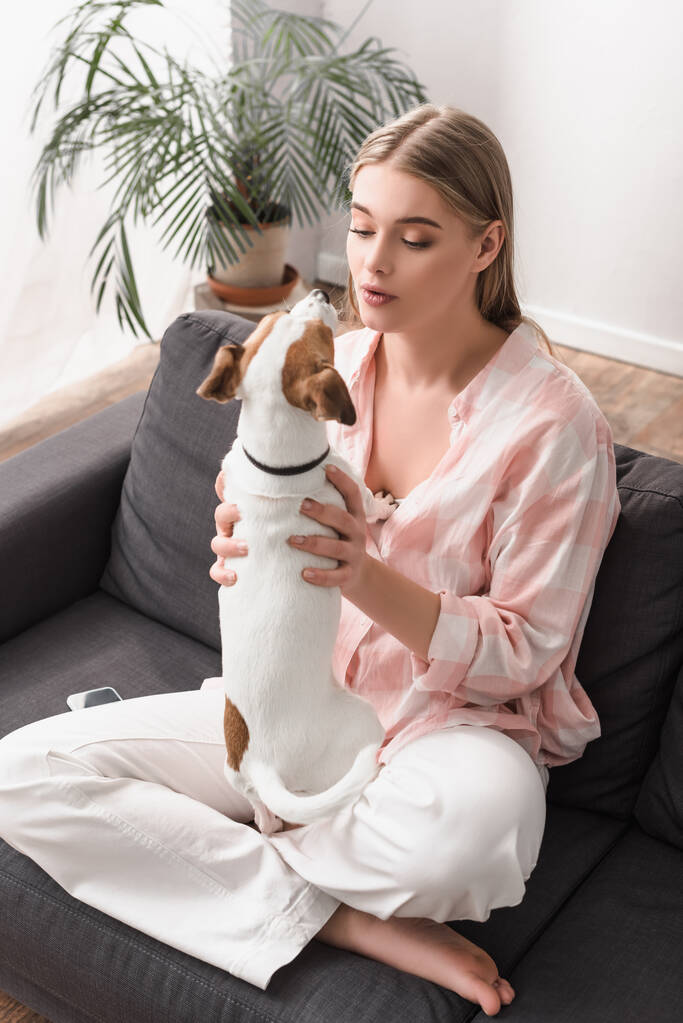 young woman cuddling jack russell terrier in living room  - Photo, Image