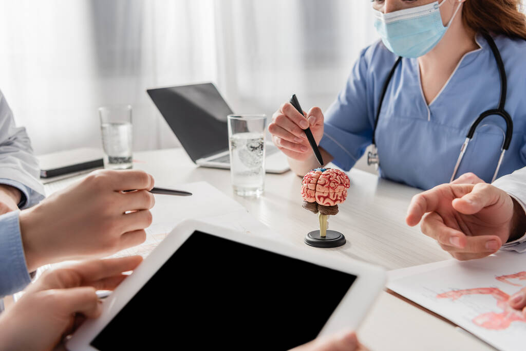 Rajatut näkymät sairaanhoitaja digitaalinen tabletti lähellä kollegoita työpaikalla kannettavan tietokoneen ja aivojen anatominen malli sairaalassa - Valokuva, kuva