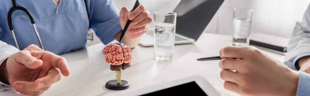 Обрезанный вид медсестры, указывающей ручкой на анатомическую модель мозга рядом с коллегами на рабочем месте с устройствами, баннером - Фото, изображение