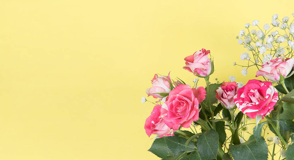 Frontera de rosal rosa fresca. Tarjeta de ramo de rosa roja sobre fondo amarillo brillante con espacio para copiar - Foto, Imagen