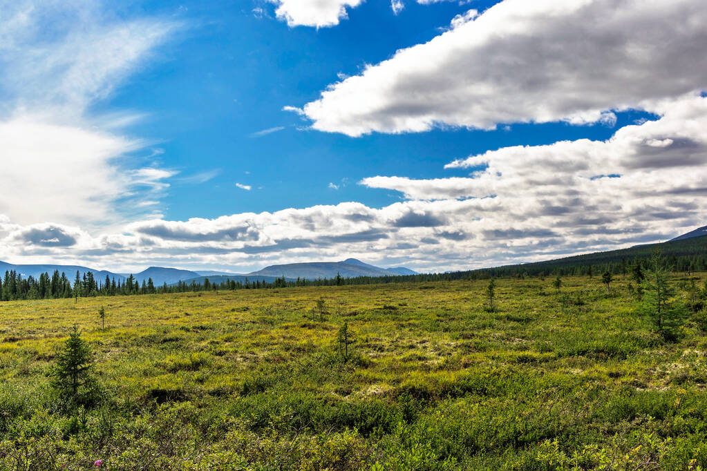 Tundra subpolare, foresta di conifere e catena montuosa lontana negli Urali in una giornata estiva - Foto, immagini