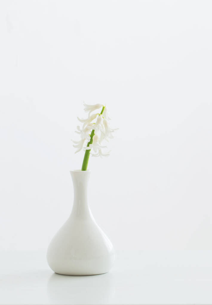 белый гиацинт в вазе на белом фоне - Фото, изображение