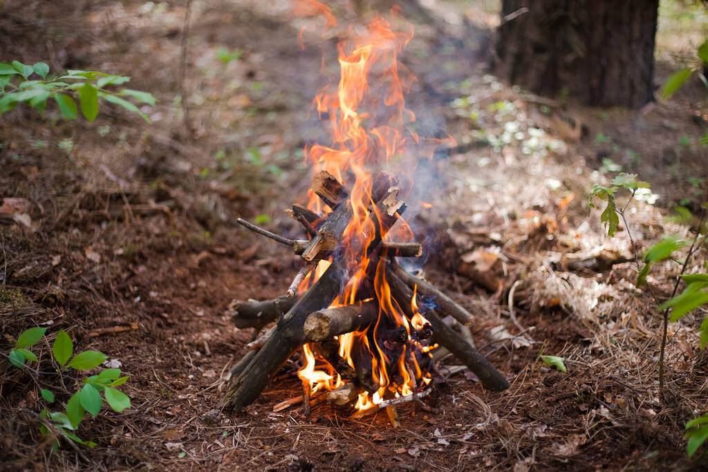 Fuego de campamento en el bosque.Fuego de campamento en el bosque. - Foto, Imagen