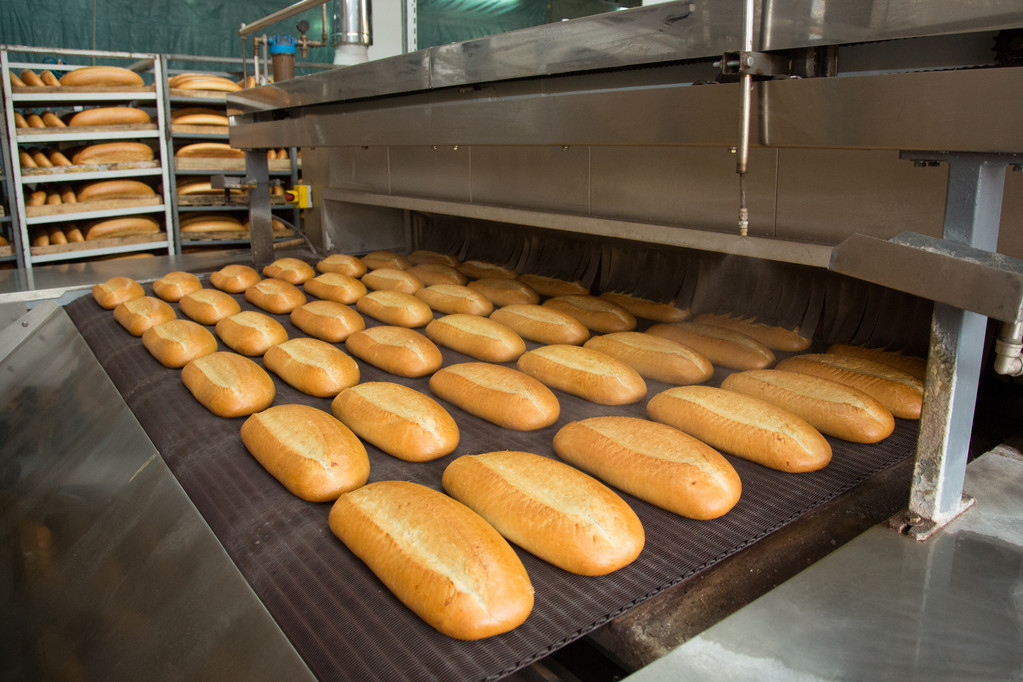 forró sült kenyér, egy sor - Fotó, kép