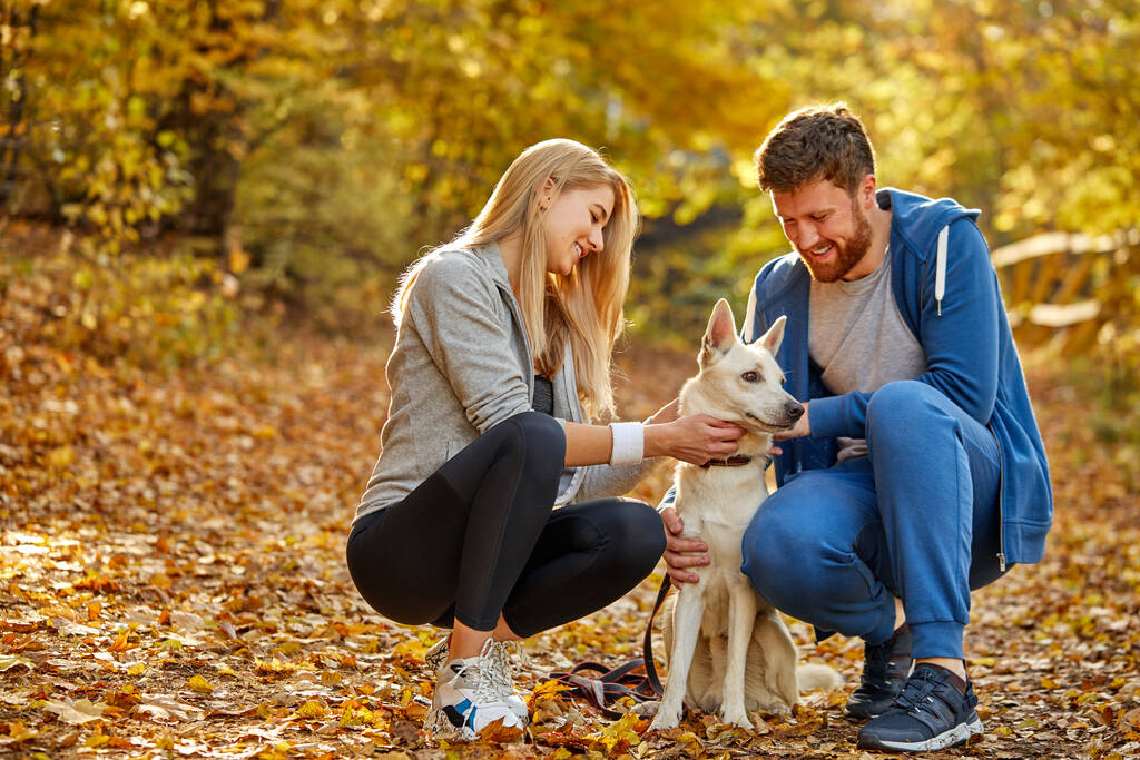 feliz pareja disfrutar de tiempo con el perro en el bosque - Foto, Imagen