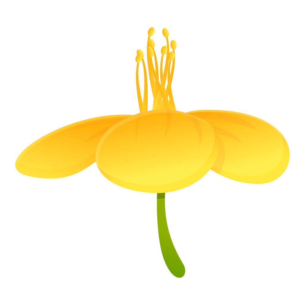 Celandine nature flower icon, cartoon style - Вектор,изображение