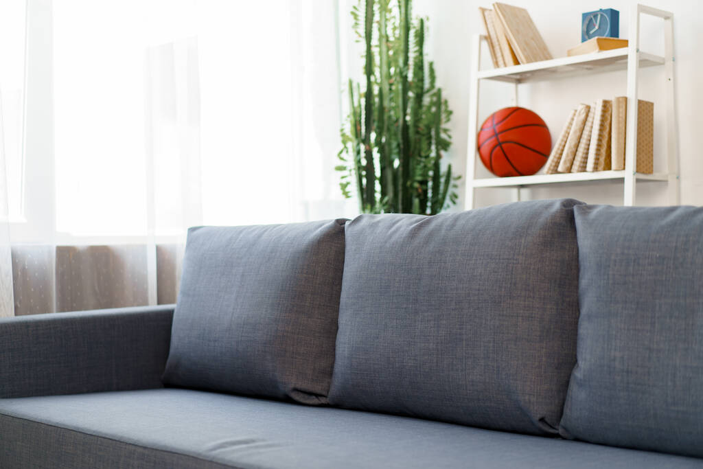 Sofá cinza na moderna sala de estar com plantas e rack - Foto, Imagem