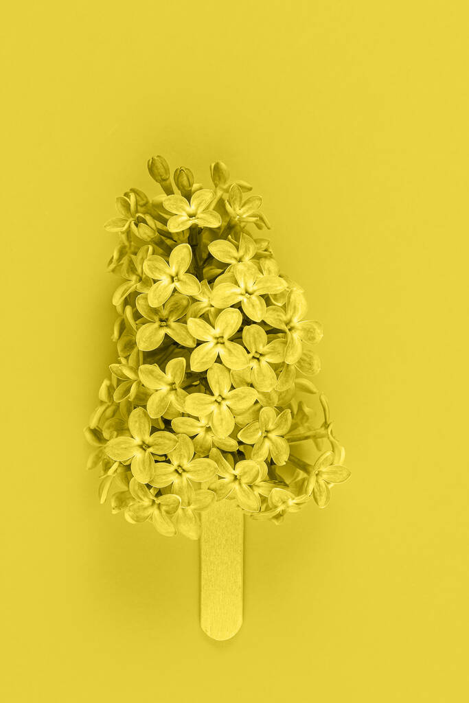 Fleurs de lilas dans les nouvelles couleurs tendance 2021 Illuminating Yellow. Couleur de l'année 2021. Carte de vœux. Style de mode minimaliste. Espace de copie, pose plate. - Photo, image