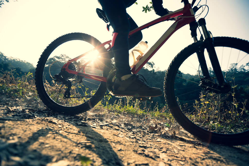 Radfahrerin radelte auf Waldweg bei Sonnenaufgang - Foto, Bild