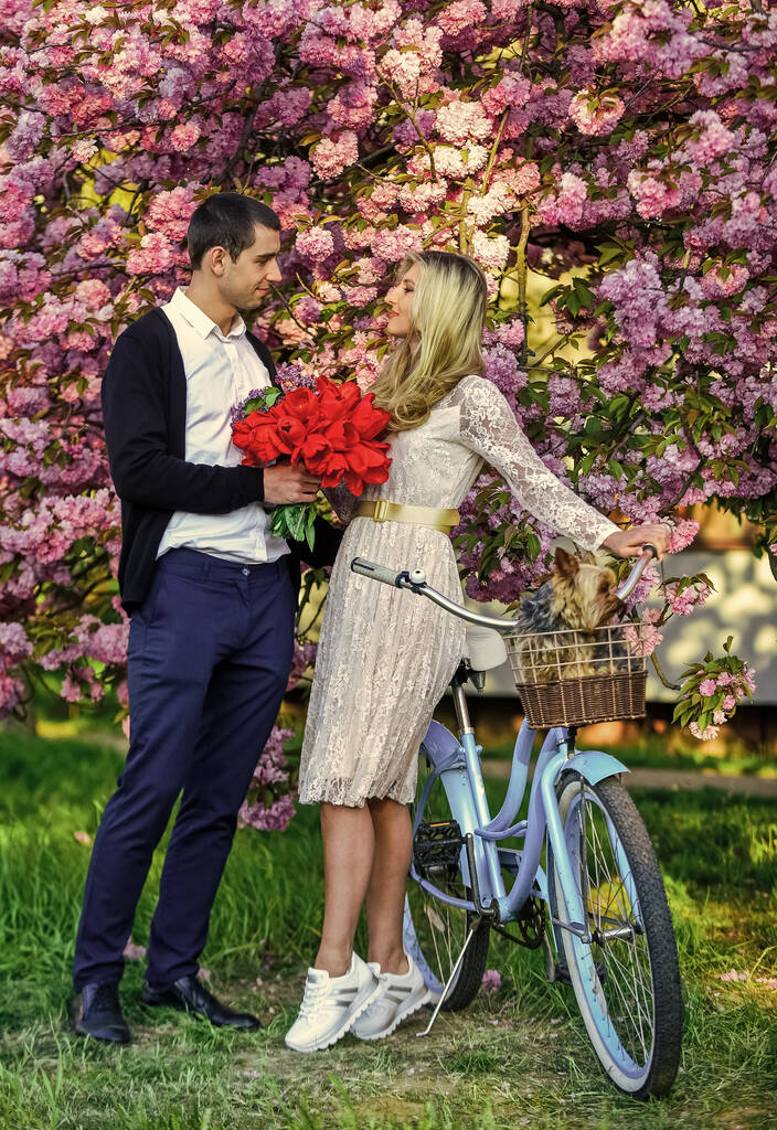 Gift with love. dog in retro bicycle date. romantic couple under sakura tree. couple in love with vintage bike. spring flower bloom. man and woman in park with pink blossom. beauty and fashion - Photo, Image