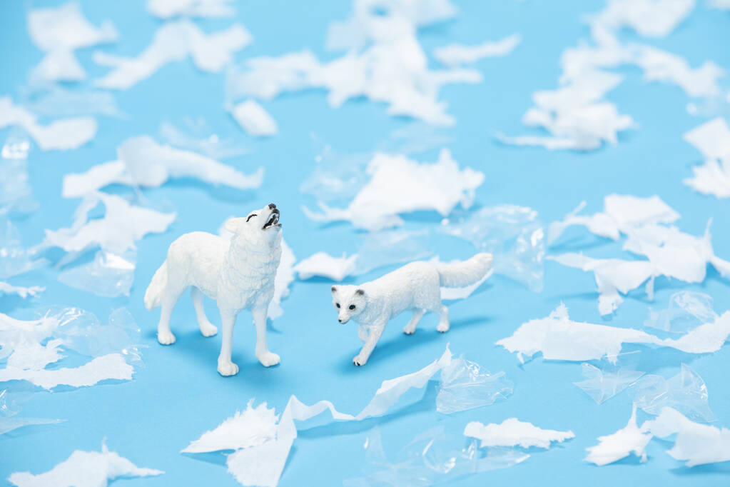 Les jouets du renard arctique et du loup entourés de morceaux de plastique et de papier sur fond bleu - Photo, image