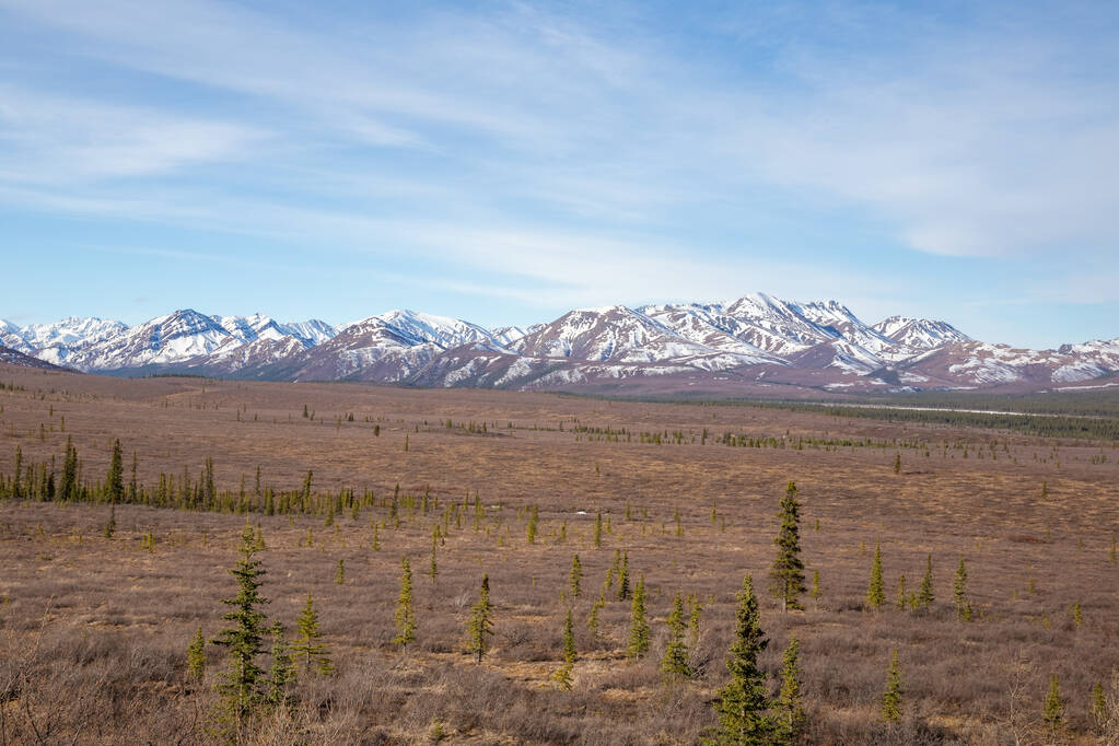 アラスカ州デナリ国立公園の魅惑的な風景 - 写真・画像