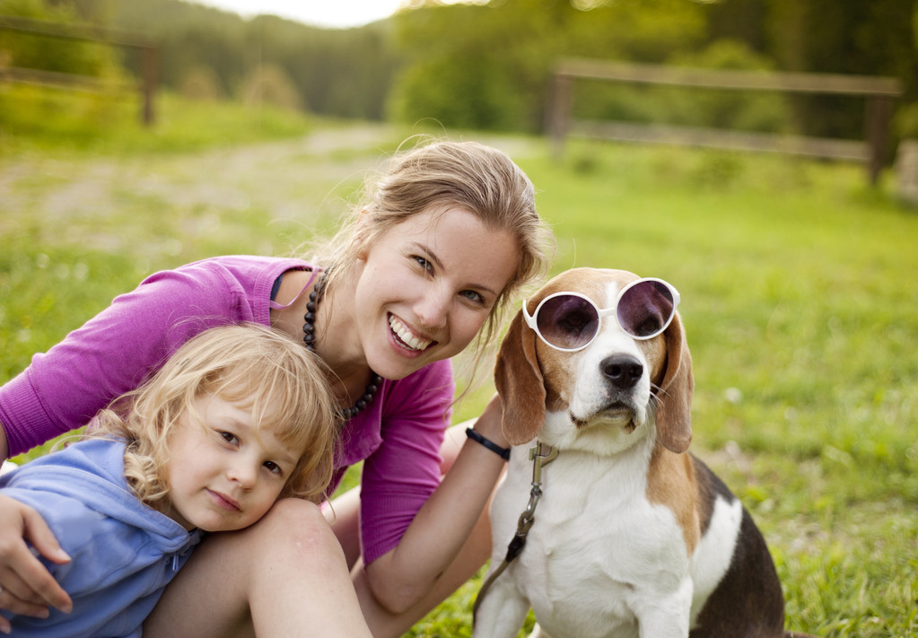 Perhe koiran kanssa - Valokuva, kuva