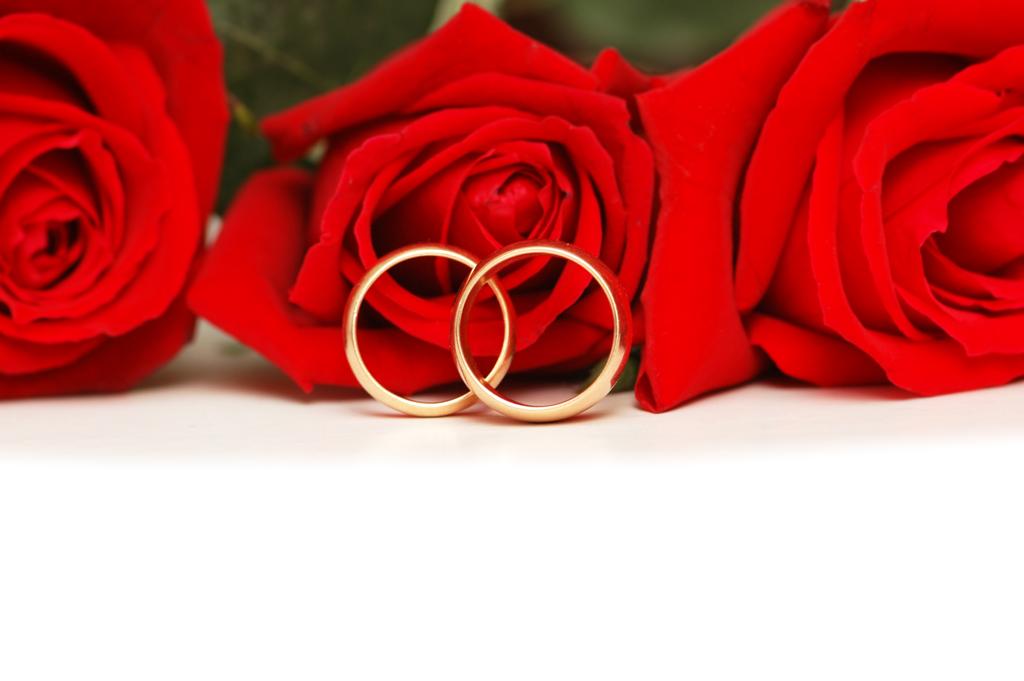 twee trouwringen en rode rozen geïsoleerd op wit - Foto, afbeelding