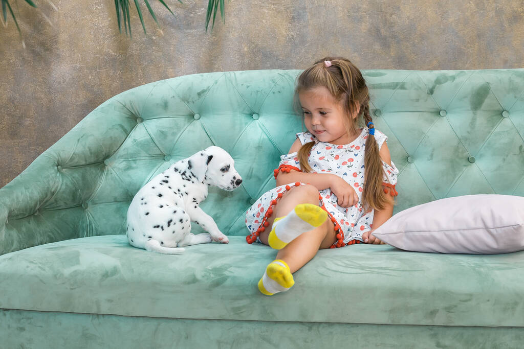 Mała dziewczynka boi się malutkiego dalmatyńskiego szczeniaka.. - Zdjęcie, obraz