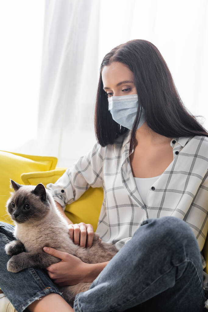 аллергик в медицинской маске обнимает кошку, сидя дома со скрещенными ногами - Фото, изображение
