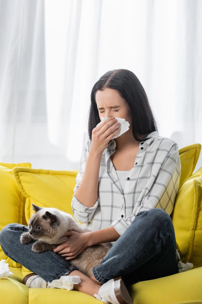 mujer joven estornudando en servilleta de papel mientras está sentada en el sofá con el gato y sufre de alergia - Foto, imagen