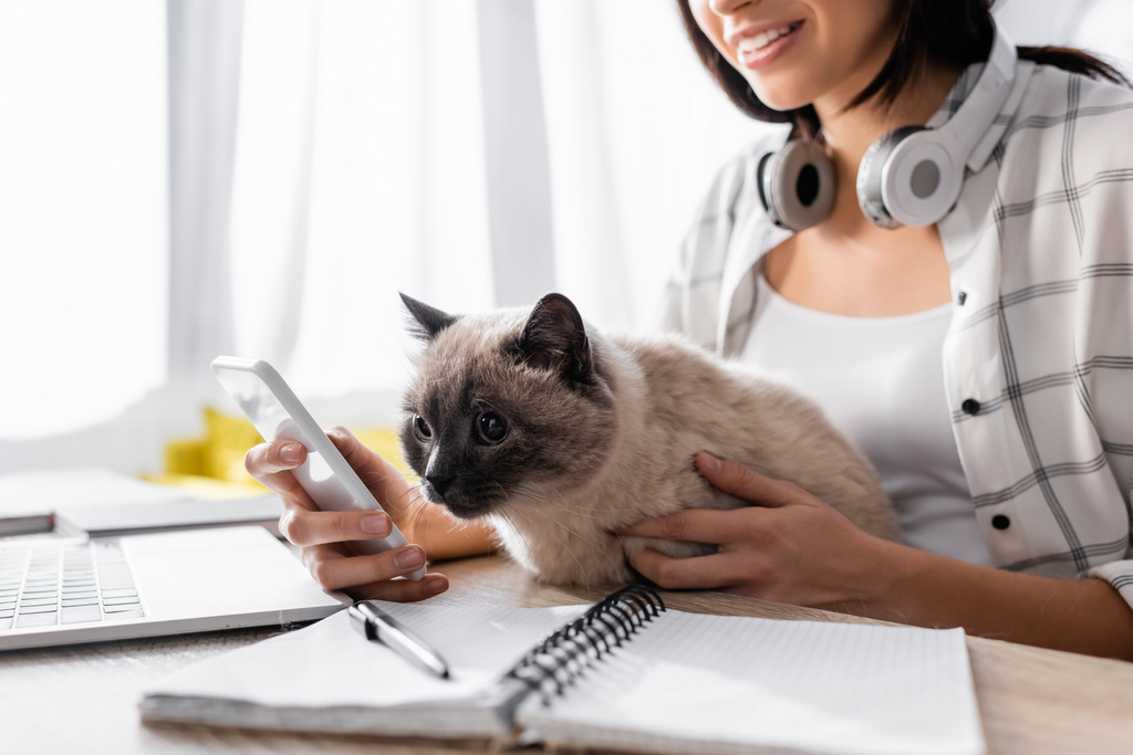 Ausgeschnittene Ansicht einer lächelnden Freelancer-Nachricht auf dem Smartphone, während sie mit Katze in der Nähe des Notebooks auf verschwommenem Vordergrund sitzt - Foto, Bild