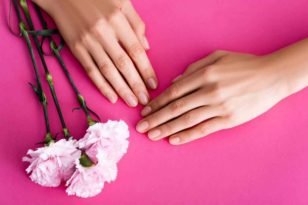 vue du haut des mains féminines avec manucure pastel près des fleurs d'oeillet sur fond rose - Photo, image