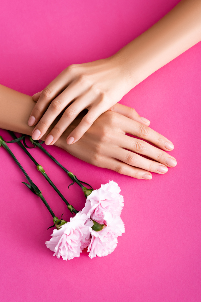 vue du haut des mains féminines avec manucure brillante près des fleurs d'oeillet sur fond rose - Photo, image