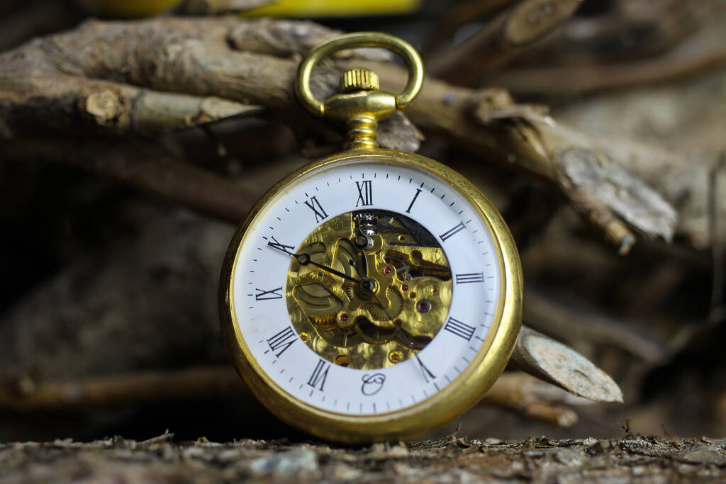 Viersen, Alemanha - 9 de maio de 2020: Macro close-up de relógio de bolso antigo dourado isolado com mecanismo de filigrana relógio na casca natural do tronco da árvore - Foto, Imagem