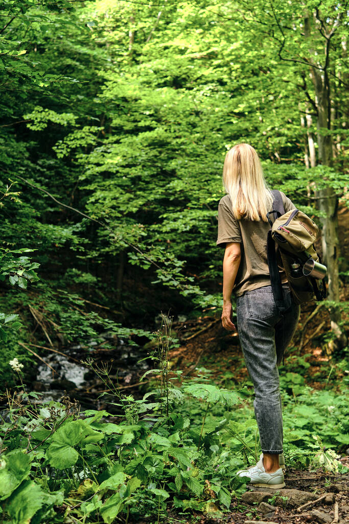 Bir kadın gezgin ormanda yürüyor. Ormandaki güzel doğa manzarası. Turist yolunda yürüyüş yapmak. Açık hava macerası. Seyahat ve keşif. Sağlıklı yaşam tarzı, boş zaman aktiviteleri - Fotoğraf, Görsel