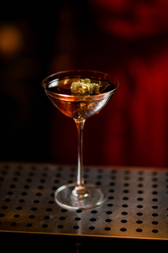 vidro martini com bebida alcoólica decorada com planta verde de stands de lúpulo no bar - Foto, Imagem