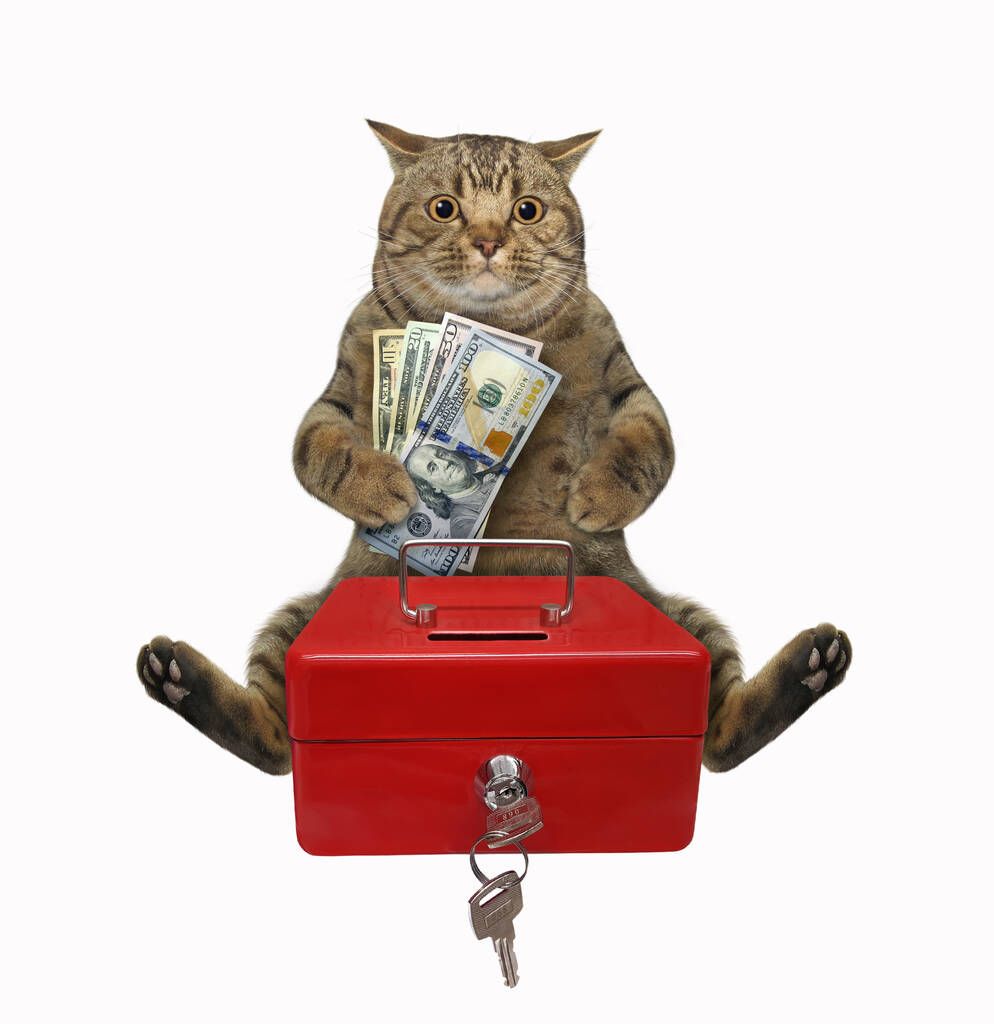 A beige cat putts dollars in a red metal portable safe. White background. Isolated. - Photo, Image