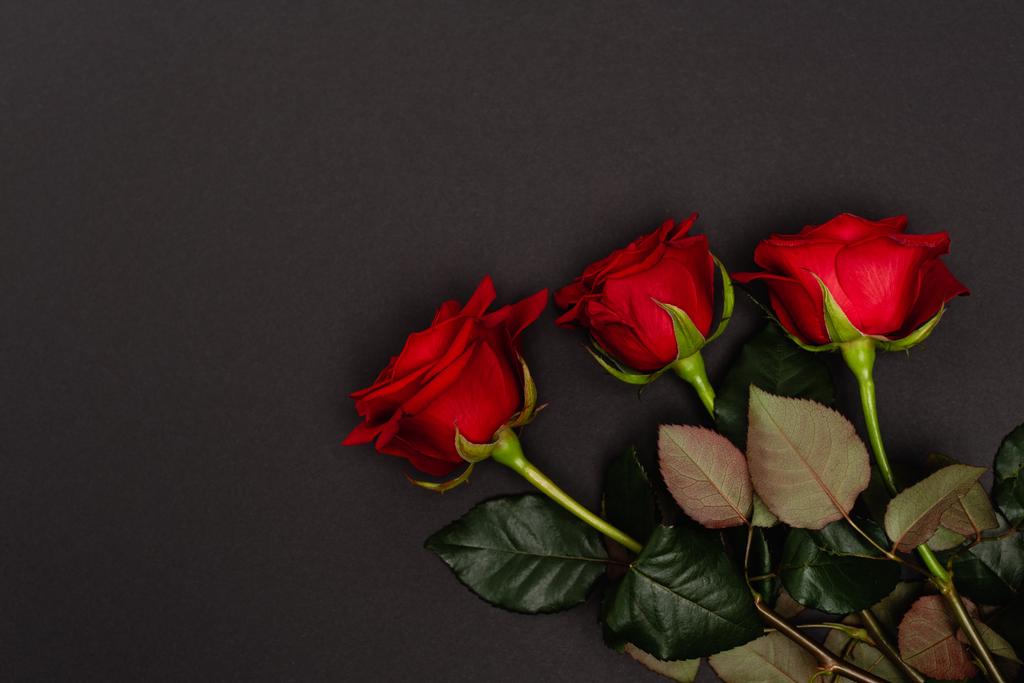 Bovenaanzicht van rode rozen geïsoleerd op zwart - Foto, afbeelding