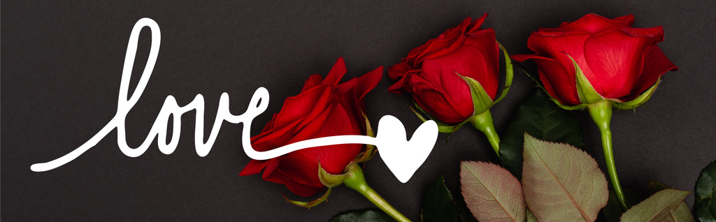 vista superior de rosas rojas cerca de letras de amor en negro, bandera - Foto, imagen