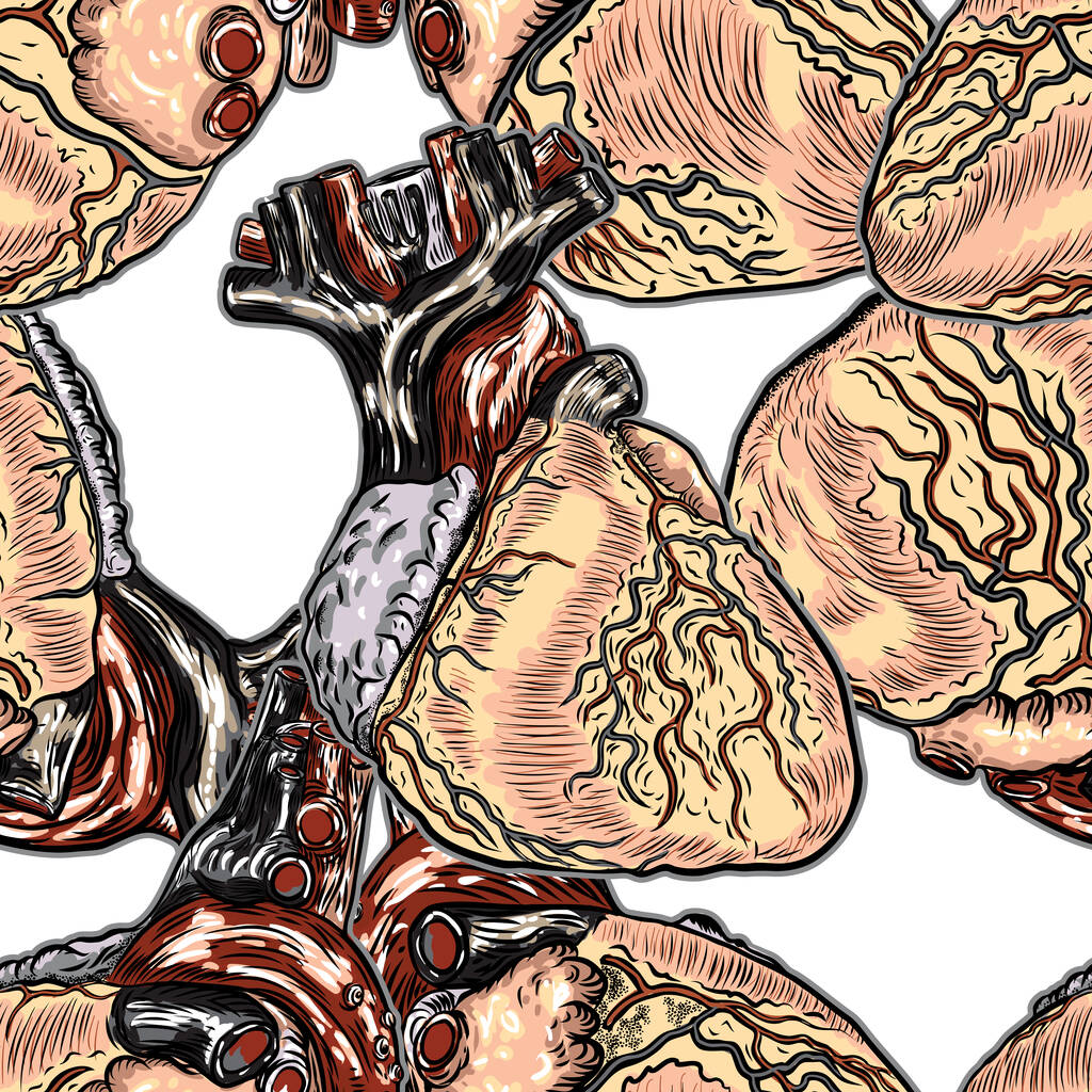 Nahtlose Muster der menschlichen Anatomie Herz. Schwarz und Farbgravur isoliert auf dem Hintergrund. Karikatur Seidenkleid Mode Tätowierdesign Vector.  - Vektor, Bild