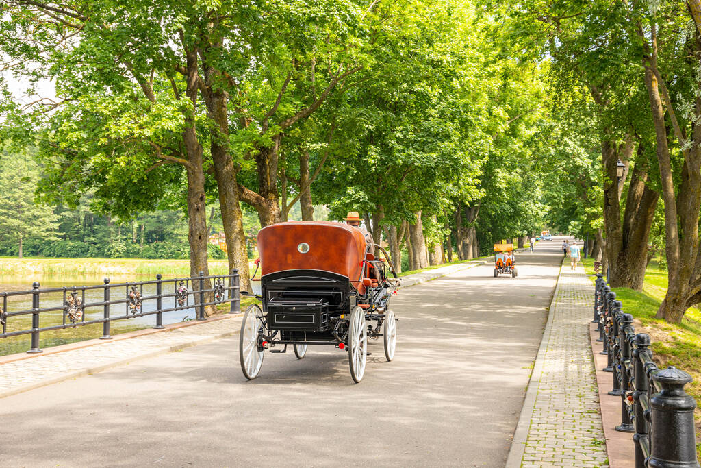Antique horse drawn cart in a city park. - Photo, Image