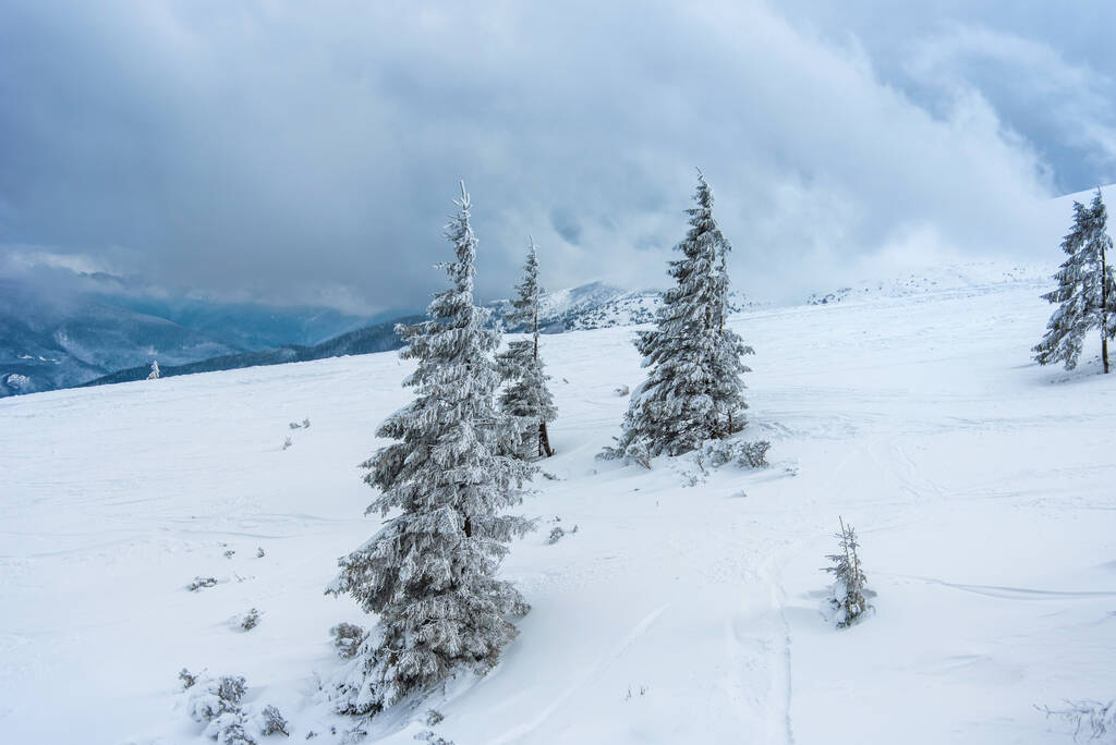 Harika bir kış manzarası. Karla kaplı dağlar ve mavi bulutlu gökyüzü - Fotoğraf, Görsel