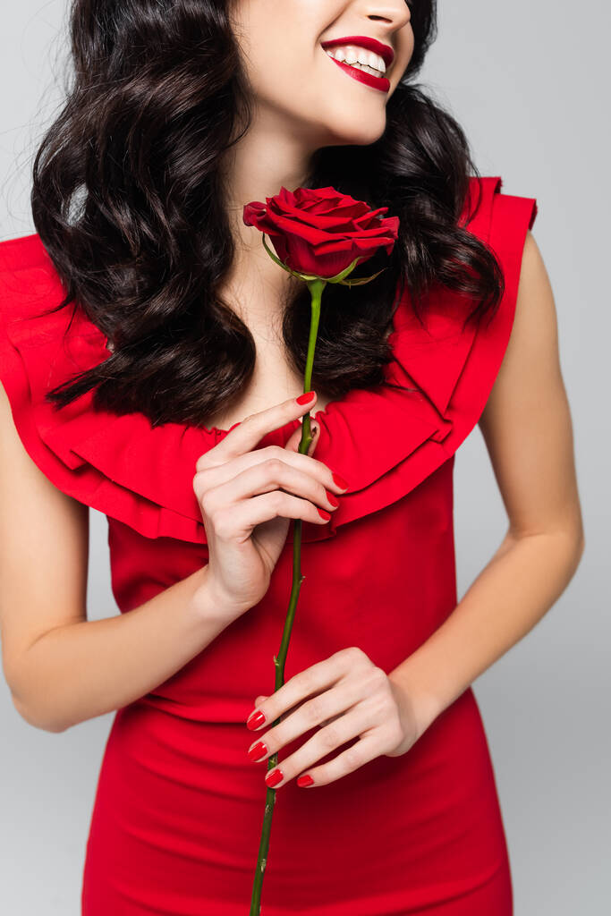 cropped view of happy young woman holding red rose isolated on grey  - Photo, Image