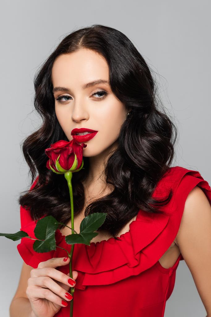 όμορφη νεαρή γυναίκα που κρατά το κόκκινο τριαντάφυλλο απομονωμένο στο γκρι  - Φωτογραφία, εικόνα