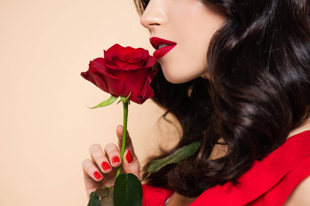 vista ritagliata di bruna giovane donna con labbra rosse in possesso di rosa isolata su rosa - Foto, immagini