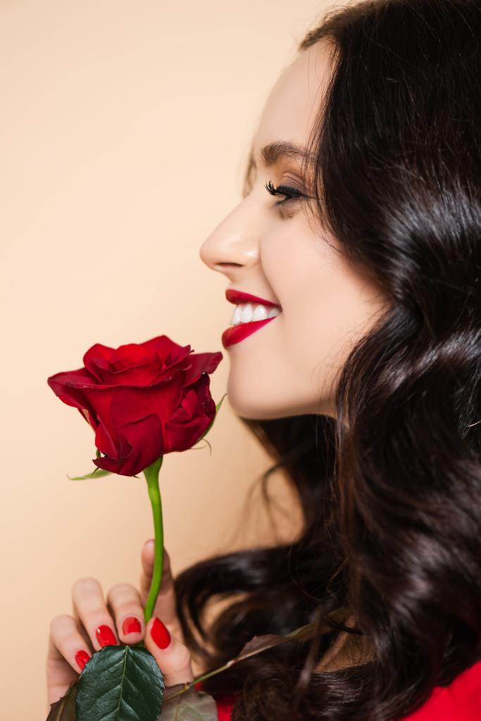 vista laterale di felice giovane donna con labbra rosse che tengono rosa isolata su rosa - Foto, immagini