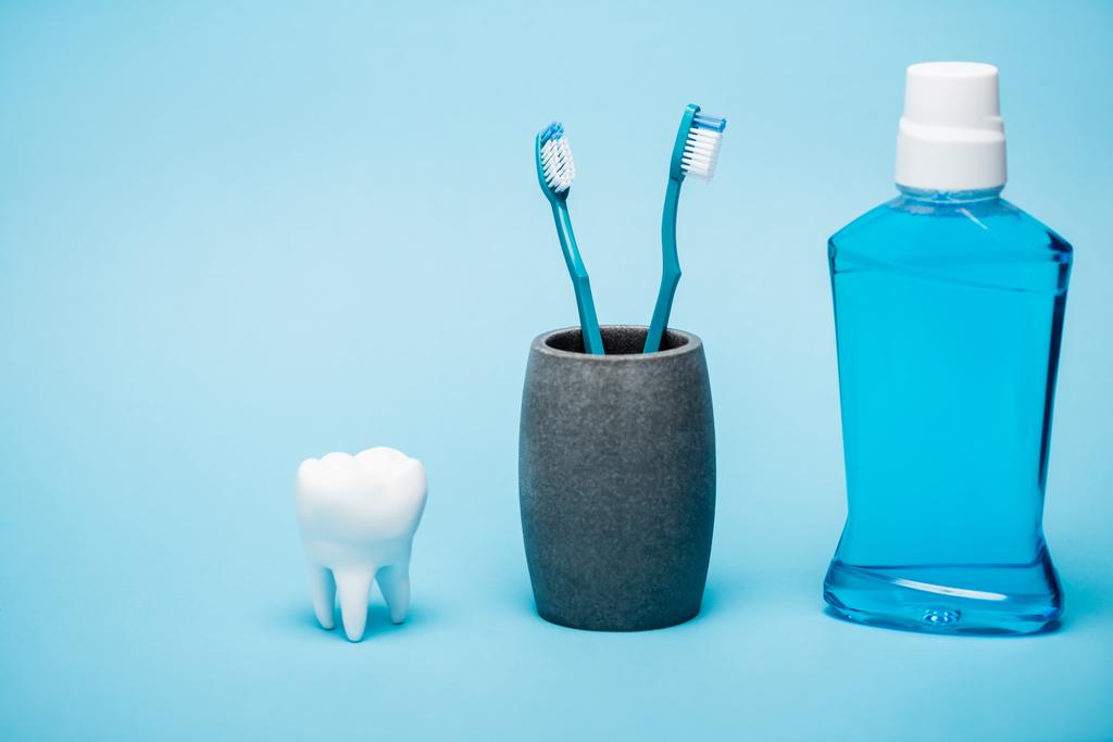 Toothbrushes, tooth model and bottle of mouthwash on blue background - Photo, Image