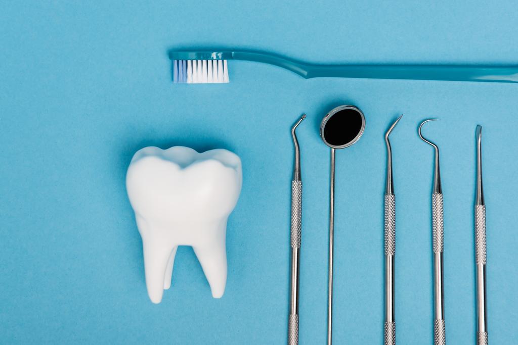 Horní pohled na model zubu v blízkosti zubního kartáčku a zubního nářadí na modrém pozadí - Fotografie, Obrázek