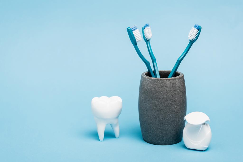 Diş fırçaları mavi arka planda diş ipi ve diş modelinin yanında. - Fotoğraf, Görsel