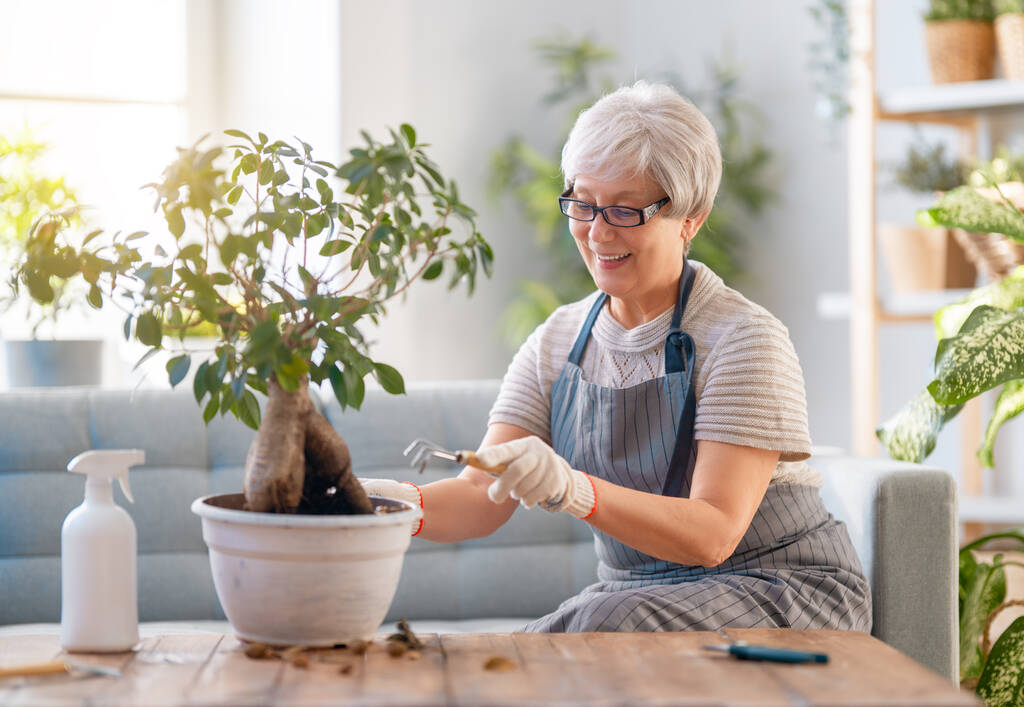 Mujer cuidando plantas en casa en el día de primavera. - Foto, imagen