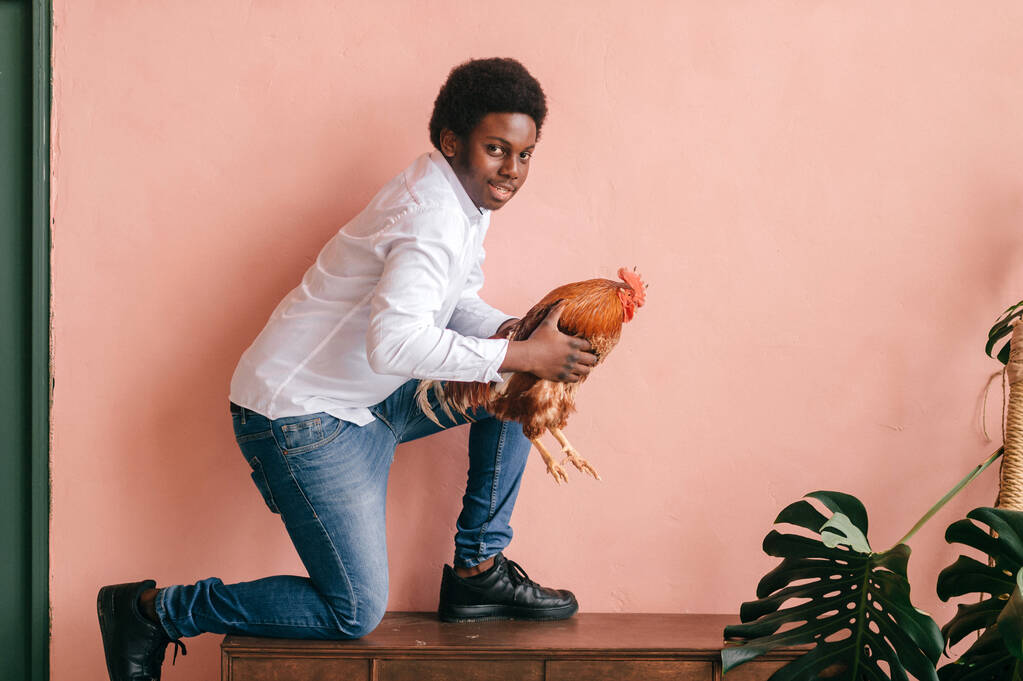 African american man with chicken on pink background in studio. Dark skinned man and his friend - rooster.  - Photo, Image