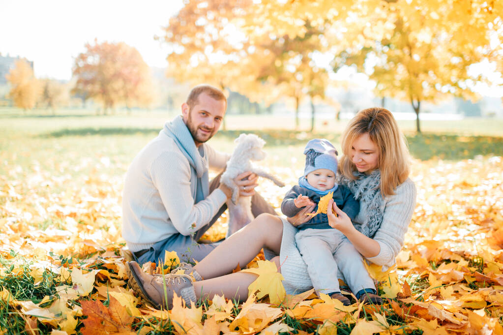 秋の公園で赤ちゃんの屋外の肖像画を持つ幸せな家族. - 写真・画像