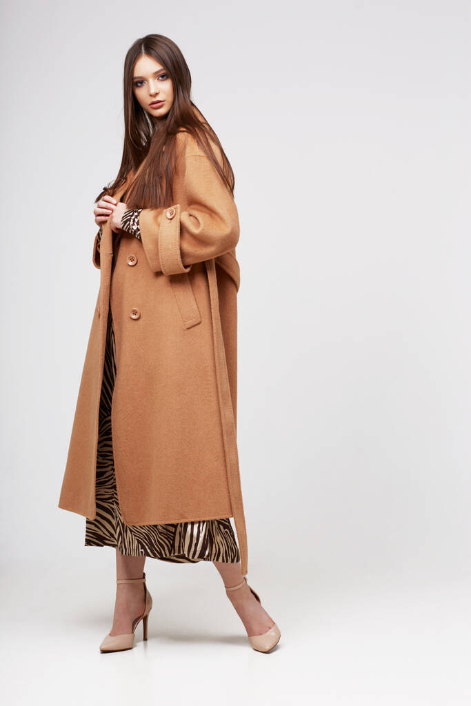 Mladá elegantní žena v módním hnědém kabátě. Zebra tisk šaty, izolované studio záběr - Fotografie, Obrázek
