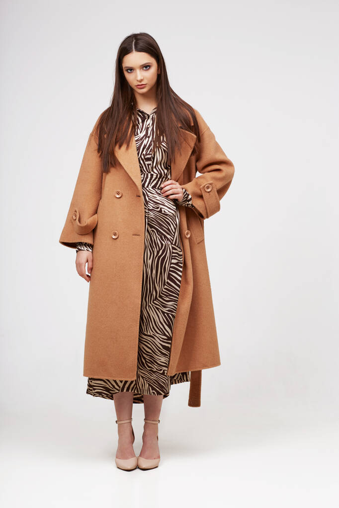 Jonge elegante vrouw in trendy bruine jas. Zebra print jurk, geïsoleerde studio shot - Foto, afbeelding