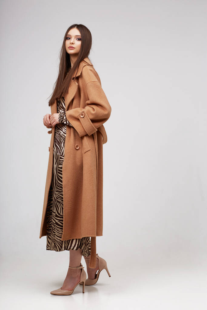 Mujer joven y elegante en abrigo marrón de moda. Vestido estampado cebra, plano de estudio aislado - Foto, Imagen