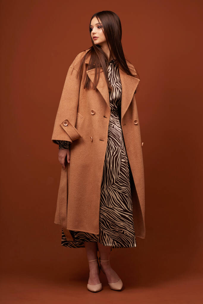 Nuori tyylikäs nainen trendikkäässä ruskeassa takissa. Seepra tulostaa mekko, eristetty studio ammuttu - Valokuva, kuva